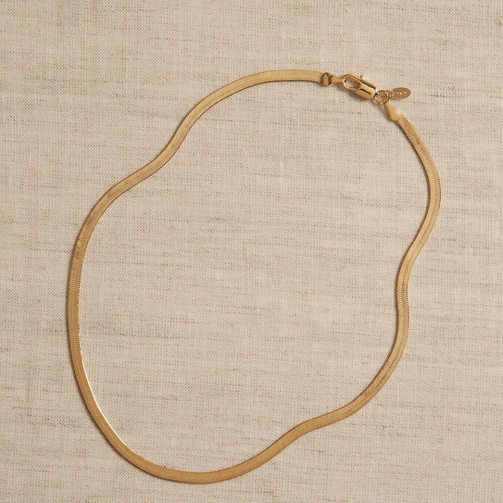 Banana Republic Snake Chain